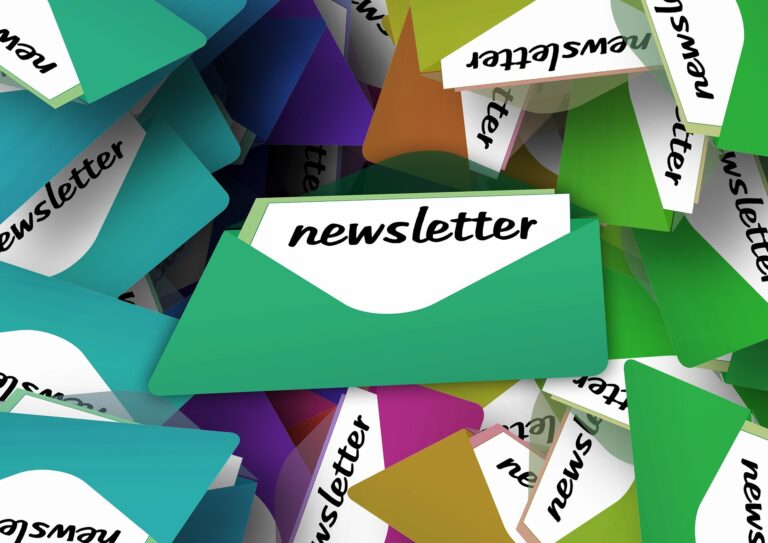 Read more about the article Launch of Newsletter 2